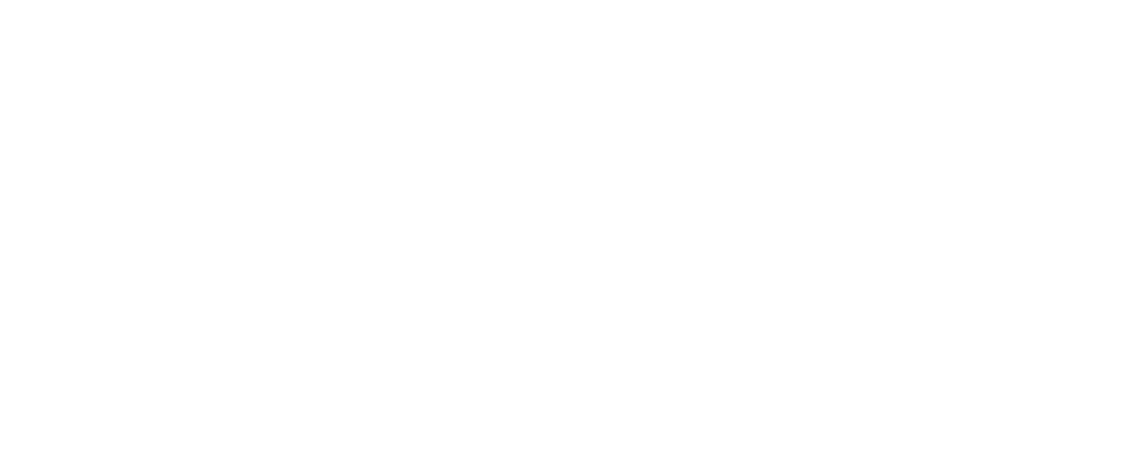 SkyNet Couriers